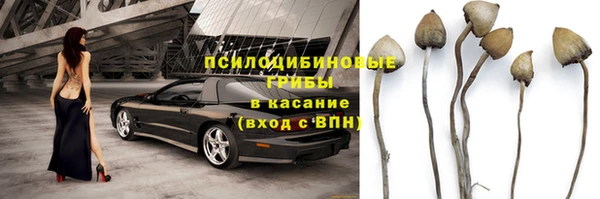 ECSTASY Армянск