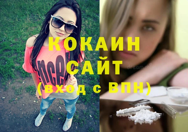мет Алзамай